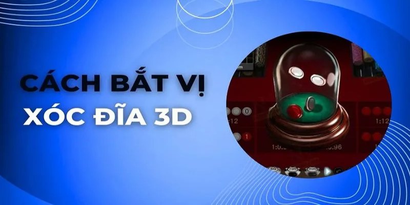Hướng dẫn chi tiết cách chơi xóc đĩa 3D cho người mới
