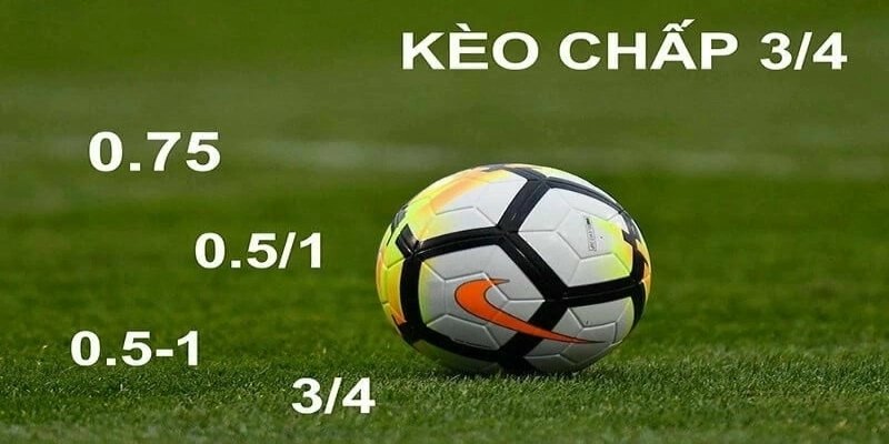 Tỷ lệ ăn tiền khá cao, kết quả dễ hiểu và rõ ràng