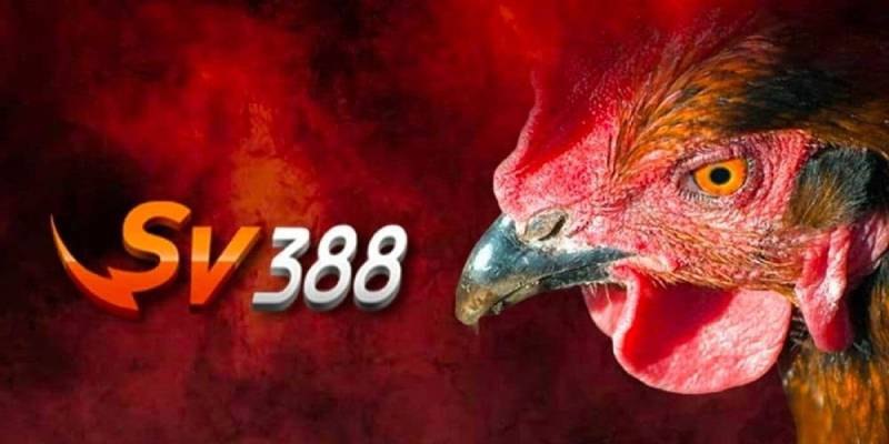 SV388 nổi bật trong lĩnh vực đá gà online với giao diện trực quan